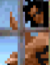 which2.PNG