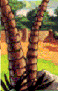 trees.gif